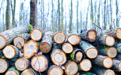Selling Timber: What the Landowner Needs to Know