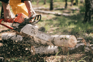 cutting wood with a chainsaw