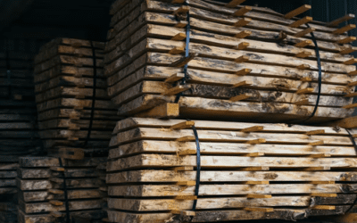 Timber Harvesting: Methods, Stages, & Implementation