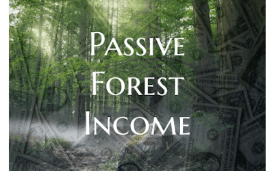 How To Earn Passive Income With Forest Management