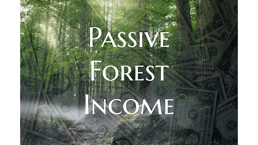 Passive Forest Income