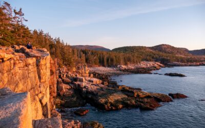 Preserving Maine’s Natural Treasures: The Role of Forestry Management Companies